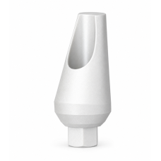 Plastic Abutment Angular H2.43 - 15°