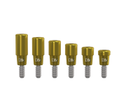 Overdenture Locator