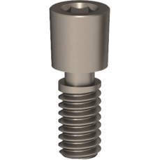 Titanium Screw for Multi-Unit 1-72 UNF