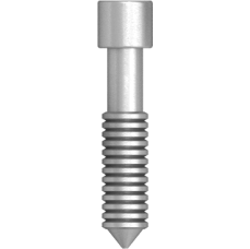Fixation surgical screw