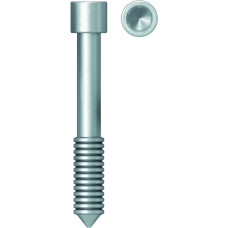 Fixation surgical screw long