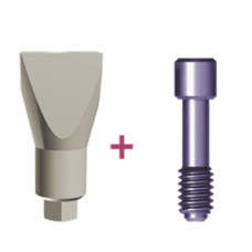 Scan body transfer for internal Hex Short implant H2.43
