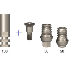 100 Titanium Bases + 100 Digital Analogues for Implant Internal Hex H2.43