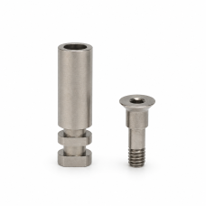Digital Analog for Implant CH2.1