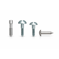 Screws/Pins